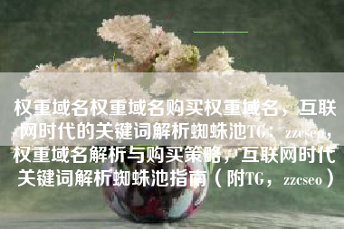 权重域名权重域名购买权重域名，互联网时代的关键词解析蜘蛛池TG：zzcseo，权重域名解析与购买策略，互联网时代关键词解析蜘蛛池指南（附TG，zzcseo）