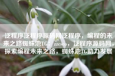 泛程序泛程序源码网泛程序，编程的未来之路蜘蛛池TG：zzcseo，泛程序源码网，探索编程未来之路，蜘蛛池TG助力发展