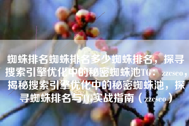 蜘蛛排名蜘蛛排名多少蜘蛛排名，探寻搜索引擎优化中的秘密蜘蛛池TG：zzcseo，揭秘搜索引擎优化中的秘密蜘蛛池，探寻蜘蛛排名与TG实战指南（zzcseo）