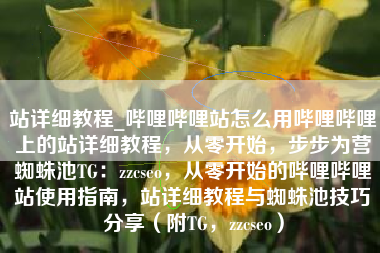 站详细教程_哔哩哔哩站怎么用哔哩哔哩上的站详细教程，从零开始，步步为营蜘蛛池TG：zzcseo，从零开始的哔哩哔哩站使用指南，站详细教程与蜘蛛池技巧分享（附TG，zzcseo）