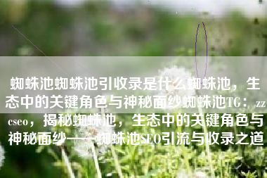 蜘蛛池蜘蛛池引收录是什么蜘蛛池，生态中的关键角色与神秘面纱蜘蛛池TG：zzcseo，揭秘蜘蛛池，生态中的关键角色与神秘面纱——蜘蛛池SEO引流与收录之道