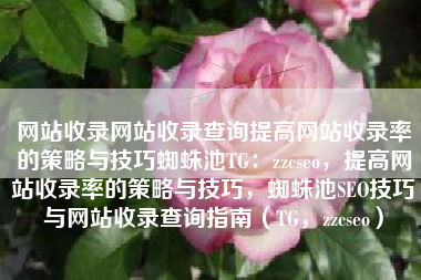 网站收录网站收录查询提高网站收录率的策略与技巧蜘蛛池TG：zzcseo，提高网站收录率的策略与技巧，蜘蛛池SEO技巧与网站收录查询指南（TG，zzcseo）