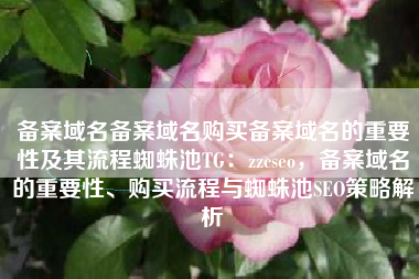 备案域名备案域名购买备案域名的重要性及其流程蜘蛛池TG：zzcseo，备案域名的重要性、购买流程与蜘蛛池SEO策略解析
