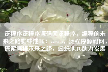 泛程序泛程序源码网泛程序，编程的未来之路蜘蛛池TG：zzcseo，泛程序源码网，探索编程未来之路，蜘蛛池TG助力发展