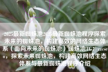 2025最新蜘蛛池2025最新蜘蛛池程序探索未来的蜘蛛池，构建高效的网络生态体系（面向未来的蜘蛛池）蜘蛛池TG：zzcseo，探索未来蜘蛛池，构建高效网络生态体系与最新蜘蛛池程序介绍