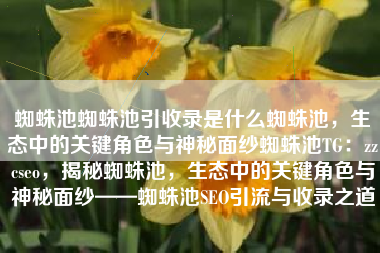 蜘蛛池蜘蛛池引收录是什么蜘蛛池，生态中的关键角色与神秘面纱蜘蛛池TG：zzcseo，揭秘蜘蛛池，生态中的关键角色与神秘面纱——蜘蛛池SEO引流与收录之道