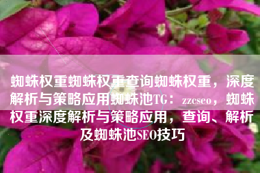 蜘蛛权重蜘蛛权重查询蜘蛛权重，深度解析与策略应用蜘蛛池TG：zzcseo，蜘蛛权重深度解析与策略应用，查询、解析及蜘蛛池SEO技巧