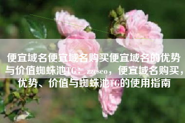 便宜域名便宜域名购买便宜域名的优势与价值蜘蛛池TG：zzcseo，便宜域名购买，优势、价值与蜘蛛池TG的使用指南