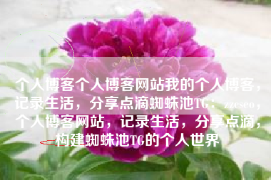 个人博客个人博客网站我的个人博客，记录生活，分享点滴蜘蛛池TG：zzcseo，个人博客网站，记录生活，分享点滴，构建蜘蛛池TG的个人世界