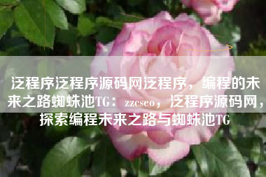 泛程序泛程序源码网泛程序，编程的未来之路蜘蛛池TG：zzcseo，泛程序源码网，探索编程未来之路与蜘蛛池TG