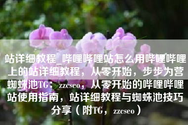 站详细教程_哔哩哔哩站怎么用哔哩哔哩上的站详细教程，从零开始，步步为营蜘蛛池TG：zzcseo，从零开始的哔哩哔哩站使用指南，站详细教程与蜘蛛池技巧分享（附TG，zzcseo）