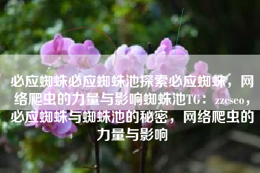 必应蜘蛛必应蜘蛛池探索必应蜘蛛，网络爬虫的力量与影响蜘蛛池TG：zzcseo，必应蜘蛛与蜘蛛池的秘密，网络爬虫的力量与影响