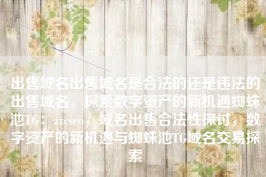 出售域名出售域名是合法的还是违法的出售域名，探索数字资产的新机遇蜘蛛池TG：zzcseo，域名出售合法性探讨，数字资产的新机遇与蜘蛛池TG域名交易探索