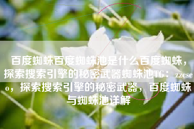 百度蜘蛛百度蜘蛛池是什么百度蜘蛛，探索搜索引擎的秘密武器蜘蛛池TG：zzcseo，探索搜索引擎的秘密武器，百度蜘蛛与蜘蛛池详解