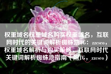 权重域名权重域名购买权重域名，互联网时代的关键词解析蜘蛛池TG：zzcseo，权重域名解析与购买策略，互联网时代关键词解析蜘蛛池指南（附TG，zzcseo）