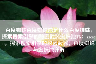 百度蜘蛛百度蜘蛛池是什么百度蜘蛛，探索搜索引擎的秘密武器蜘蛛池TG：zzcseo，探索搜索引擎的秘密武器，百度蜘蛛与蜘蛛池详解