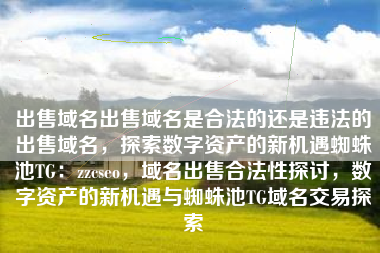 出售域名出售域名是合法的还是违法的出售域名，探索数字资产的新机遇蜘蛛池TG：zzcseo，域名出售合法性探讨，数字资产的新机遇与蜘蛛池TG域名交易探索