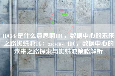 IDCidc是什么意思啊IDC，数据中心的未来之路蜘蛛池TG：zzcseo，IDC，数据中心的未来之路探索与蜘蛛池策略解析