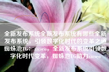 全新发布系统全新发布系统有哪些全新发布系统，引领数字化时代的变革之道蜘蛛池TG：zzcseo，全新发布系统引领数字化时代变革，蜘蛛池TG助力zzcseo