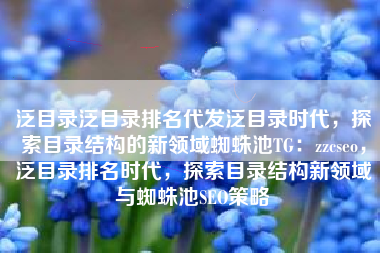 泛目录泛目录排名代发泛目录时代，探索目录结构的新领域蜘蛛池TG：zzcseo，泛目录排名时代，探索目录结构新领域与蜘蛛池SEO策略