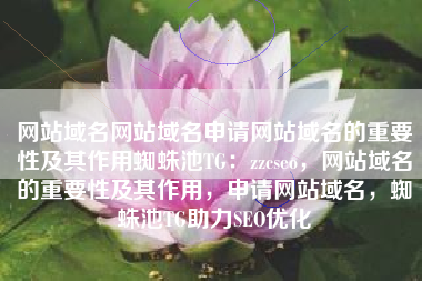 网站域名网站域名申请网站域名的重要性及其作用蜘蛛池TG：zzcseo，网站域名的重要性及其作用，申请网站域名，蜘蛛池TG助力SEO优化