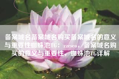 备案域名备案域名购买备案域名的意义与重要性蜘蛛池TG：zzcseo，备案域名购买的意义与重要性，蜘蛛池TG详解