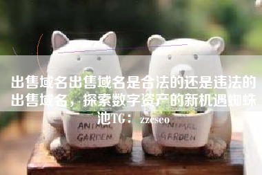 出售域名出售域名是合法的还是违法的出售域名，探索数字资产的新机遇蜘蛛池TG：zzcseo