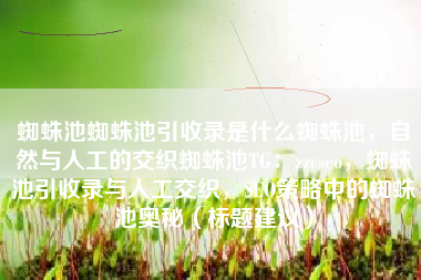 蜘蛛池蜘蛛池引收录是什么蜘蛛池，自然与人工的交织蜘蛛池TG：zzcseo，蜘蛛池引收录与人工交织，SEO策略中的蜘蛛池奥秘（标题建议）