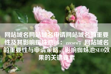 网站域名网站域名申请网站域名的重要性及其影响蜘蛛池TG：zzcseo，网站域名的重要性与申请策略，影响蜘蛛池SEO效果的关键要素