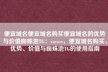 便宜域名便宜域名购买便宜域名的优势与价值蜘蛛池TG：zzcseo，便宜域名购买，优势、价值与蜘蛛池TG的使用指南