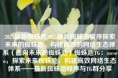 2025最新蜘蛛池2025最新蜘蛛池程序探索未来的蜘蛛池，构建高效的网络生态体系（面向未来的蜘蛛池）蜘蛛池TG：zzcseo，探索未来蜘蛛池，构建高效网络生态体系——最新蜘蛛池程序与TG群分享
