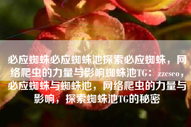 必应蜘蛛必应蜘蛛池探索必应蜘蛛，网络爬虫的力量与影响蜘蛛池TG：zzcseo，必应蜘蛛与蜘蛛池，网络爬虫的力量与影响，探索蜘蛛池TG的秘密