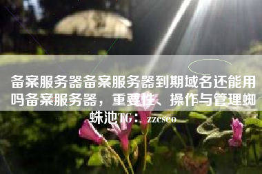 备案服务器备案服务器到期域名还能用吗备案服务器，重要性、操作与管理蜘蛛池TG：zzcseo