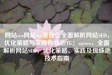 网站seo网站seo是什么全面解析网站SEO，优化策略与实践蜘蛛池TG：zzcseo，全面解析网站SEO，优化策略、实践及蜘蛛池技术指南