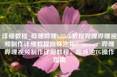 详细教程_哔哩哔哩bilibili教程哔哩哔哩视频制作详细教程蜘蛛池TG：zzcseo，哔哩哔哩视频制作详细教程，蜘蛛池TG操作指南