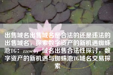 出售域名出售域名是合法的还是违法的出售域名，探索数字资产的新机遇蜘蛛池TG：zzcseo，域名出售合法性探讨，数字资产的新机遇与蜘蛛池TG域名交易探索