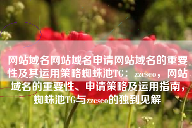 网站域名网站域名申请网站域名的重要性及其运用策略蜘蛛池TG：zzcseo，网站域名的重要性、申请策略及运用指南，蜘蛛池TG与zzcseo的独到见解
