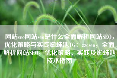 网站seo网站seo是什么全面解析网站SEO，优化策略与实践蜘蛛池TG：zzcseo，全面解析网站SEO，优化策略、实践及蜘蛛池技术指南