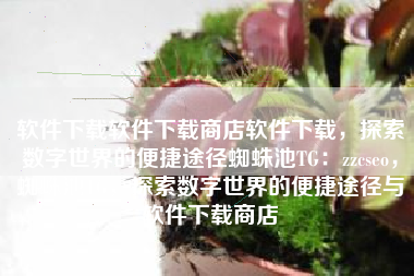 软件下载软件下载商店软件下载，探索数字世界的便捷途径蜘蛛池TG：zzcseo，蜘蛛池TG，探索数字世界的便捷途径与软件下载商店
