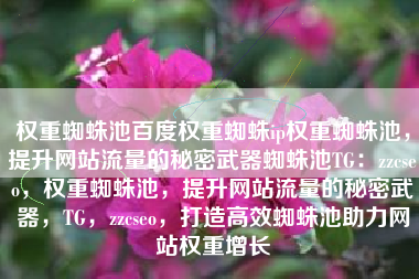 权重蜘蛛池百度权重蜘蛛ip权重蜘蛛池，提升网站流量的秘密武器蜘蛛池TG：zzcseo，权重蜘蛛池，提升网站流量的秘密武器，TG，zzcseo，打造高效蜘蛛池助力网站权重增长