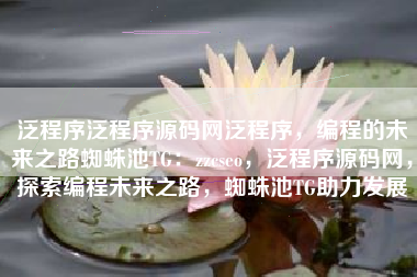 泛程序泛程序源码网泛程序，编程的未来之路蜘蛛池TG：zzcseo，泛程序源码网，探索编程未来之路，蜘蛛池TG助力发展