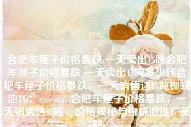 合肥车厘子价格暴跌 一天卖出15吨合肥车厘子价格暴跌 一天卖出15吨多少钱合肥车厘子价格暴跌，一天销售达15吨蜘蛛池TG：zzcseo，合肥车厘子价格暴跌，一天销售达15吨，价格揭秘与蜘蛛池推广策略