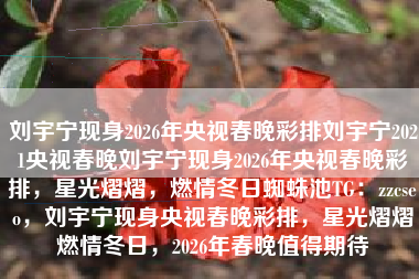 刘宇宁现身2026年央视春晚彩排刘宇宁2021央视春晚刘宇宁现身2026年央视春晚彩排，星光熠熠，燃情冬日蜘蛛池TG：zzcseo，刘宇宁现身央视春晚彩排，星光熠熠燃情冬日，2026年春晚值得期待