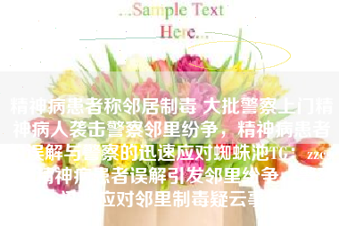 精神病患者称邻居制毒 大批警察上门精神病人袭击警察邻里纷争，精神病患者的误解与警察的迅速应对蜘蛛池TG：zzcseo，精神病患者误解引发邻里纷争，警察迅速应对邻里制毒疑云事件