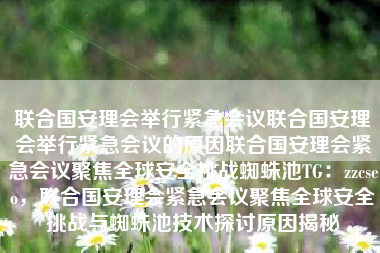 联合国安理会举行紧急会议联合国安理会举行紧急会议的原因联合国安理会紧急会议聚焦全球安全挑战蜘蛛池TG：zzcseo，联合国安理会紧急会议聚焦全球安全挑战与蜘蛛池技术探讨原因揭秘