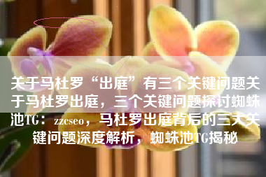 关于马杜罗“出庭”有三个关键问题关于马杜罗出庭，三个关键问题探讨蜘蛛池TG：zzcseo，马杜罗出庭背后的三大关键问题深度解析，蜘蛛池TG揭秘