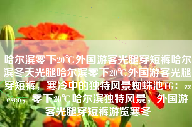 哈尔滨零下20℃外国游客光腿穿短裤哈尔滨冬天光腿哈尔滨零下20℃外国游客光腿穿短裤，寒冷中的独特风景蜘蛛池TG：zzcseo，零下20℃哈尔滨独特风景，外国游客光腿穿短裤游览寒冬