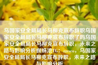 乌国家安全局局长马柳克宣布辞职乌国家安全局局长马柳克宣布辞职了吗乌国家安全局局长马柳克宣布辞职，未来之路与影响分析蜘蛛池TG：zzcseo，乌国家安全局局长马柳克宣布辞职，未来之路与影响分析