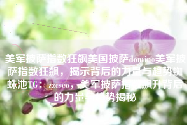 美军披萨指数狂飙美国披萨domino美军披萨指数狂飙，揭示背后的力量与趋势蜘蛛池TG：zzcseo，美军披萨指数飙升背后的力量与趋势揭秘