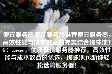 便宜服务器便宜服务器推荐便宜服务器，高效性能与成本效益的完美结合蜘蛛池TG：zzcseo，优质低价服务器推荐，高效性能与成本效益的优选，蜘蛛池TG助你轻松选购服务器！